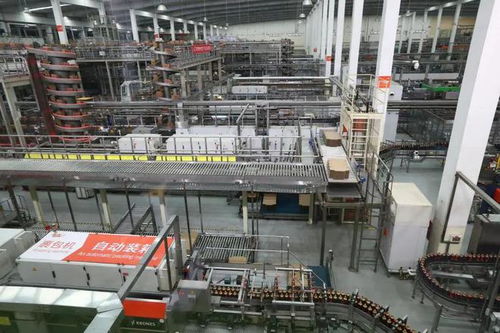 獨家優品價高何解？內地游客眼中的香港食品出口新觀察